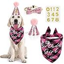 Dog Birthday Party Supplies Girl, VIPITH Dog Birthday Bandana Clothing & Accessories for Dogs, Dog Birthday Hat Dog Birthday Decorations Dog Scarf with Bow Tie Hat Number for Pet Puppy Cat (Pink/Girl)