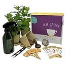 Herb Garden Kit Gift Set, Tea - Complete Seed Starter Kit, Australian Organic & Non-GMO herb Seeds, Germination kit, Gardening Gift, Grow Indoors or Outdoors, Tea Lovers