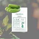 City Greens Plant Seeds For Home Gardening | Cucumber (Kheera) | Vegetable Seeds for Home Garden - Total 50 Seeds in a Pack.