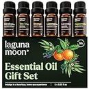 Essential Oils Set - Top Blends for Diffusers, Home Care, Candle Making, Fragrance, Aromatherapy, Humidifiers - Lavender, Eucalyptus, Lemongrass, Orange, Peppermint & Tea Tree (6 glass bottles x 10ml)