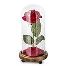 Beauty and The Beast Rose Kit, Red Silk Rose and Led Light with Fallen Petals in Glass Dome on Wooden Base for Home Decor Holiday Party Anniversary