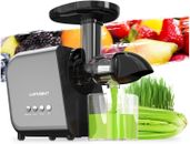 Slow Juicer Machine for Vegetables and Fruits 2023 Cold Press Masticating Juicer
