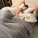 SARUEL Double Layer Thickened Lamb Plush Blanket, Winter Soft Thick Warm Bed Blankets, Solid Double-Layer Thickened Warm Bed Blankets (Light Gray,180 * 200cm)