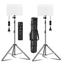 Eloies® Bi-Color LED Video Soft Light Panel Kit for Studio Photography Video Recording Conference YouTube | CRI95+ | Remote Control | Continues Light | 2Nos Light Kit with 9 Foot Metal Light Stands