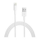 Apple USB Type-A to Lightning Cable (6.6') MD819AM/A