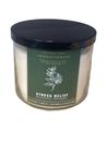 Bath & Body Works Aromatherapy Stress Relief Eucalyptus Spearmint 3 Wick Candle 