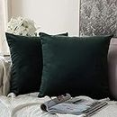 ZEYFLEEB Velvet Cushion Cover Set of 2-12" x 12" - Army Green - Soft Pillow Covers Set Cushion Case for Sofa Bedroom Livingroom Chair Car (12 x 12, Army Green)