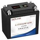 UPLUS 12V 8Ah Lithium Motorcycle Battery, UPS12-080F 480A LiFePO4 Powersport Batteries with Re-Start, Replace for YTX20L-BS, NLP20, YB16CL-B, YTX20HL-PW, YTX20HL-BS, YTX20HL-BS-PW, YIX20HL-BS