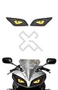 Grayfixx Eye Design Sticker & Graphics for R15 V1/V2