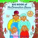 Big Book of The Berenstain Bears (Berenstain Bears First Time Books)