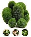 CAREOPETA 8 Pcs Moss Balls Artificial Decorative Grass Stones for Home Decoration Items, Natural Green Foam Artificial Rocks Plant Silk for Fairy Garden and Crafting (Green)
