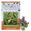 Farmgokart |Pack of 30 Nos | SAGE SEEDS |Best Suitable For Terrace And Home Gardening |Quality Herb Seeds Pouch|