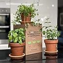 Grow Your Own Herbs Kit at Home | Herb Garden Kit | Terracotta Herbs Company | Seed Potting Kit | Sustainable Gift | Includes 3 Pots and Saucers, 6 Types of Seeds and Tags + Potting Soil