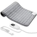Heating Pad, Electric Heating Pad for Dry, Electric Heat Pad with Multiple Temp & Timer Settings, Auto Off(Silver Gray, 24‘’×12‘’)