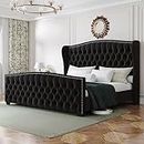 LUXOAK King Platform Bed Frame with Wingback Headboard, Velvet Upholstered Bed Frame with Handmade Button Tufted & Nailhead, Wooden Slats Support, Black