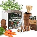 Organic Indoor Vegetable Garden Starter Kit - Made in USA - Certified USDA Organic - 5 Seed Types Cherry Tomato, Lettuce, Carrot, Radish, Green Bean | Indoor Plant Seeds, Indoor Garden Kit, Plant Kit