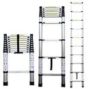 Aardwolf Quickfit Heavy Duty Aluminium Telescopic Ladder 10 Step (2.9M/9.5 FT)| Foldable Step Ladder| Free Bag | 150 Kg Capacity | Ladder for Home | DIY Professional | Industrial | (2.9M/10 Step)