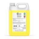 C 9 Catering Heavy Duty Degreaser