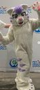6ft Fox Mascot Costume for Adults Fursuit Long Fur Husky Dog Suit Cosplay 185cmh