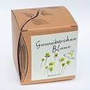 Geschenk-Anzuchtset Gummibärchenblume