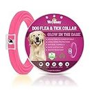 Repellent Collars for Dogs,Repellent Collar for Dogs, Adjustable Water Resistant repellent Collar Dog, Natural Dog repellent Collars for Puppies Small Medium Large Dogs,Pink 1pack
