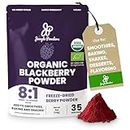 Jungle Powders Organic Blackberry Powder 5 Ounce Bag USDA Certified Freeze Dried Blackberries Powder for Baking Whole Blackberry Juice Additive Free Extract For Flavoring Jello Puree Concentrate