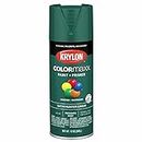 Krylon K05563007 COLORmaxx Spray Paint and Primer for Indoor/Outdoor Use, Satin Hunter Green 12 Ounce (Pack of 1)