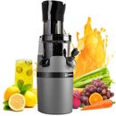 Masticating Juicer Machine for Whole Fruits and Vegetables, Cold Press Juicer