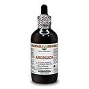 Hawaii Pharm Europe Engelwurz (Angelica Archangelica) Wurzelpulver ALKOHOLFREI Flüssigextrakt Glyzerit 120 ml