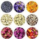 TooGet Fragrant Dried Flowers and Herbs Accessories Decorations 9 Bags Set Dry Flowers for Soap Bath Bombs Making and Dried Flower Crafts