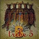 B-Tribe 5 [Audio CD] B-Tribe