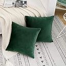 SQINELLI Pack of 2 Cushion Cover Set with Hidden Zipper Pillow Covers, Supper Soft Velvet Throw Pillow Covers Set for Bedroom, Sofa Living Room, Office, Homedecor (12x12 Inch, Army Green)