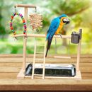 Supporto da gioco pappagallo animale domestico pappagalli uccellino parco giochi appendiabiti palestra