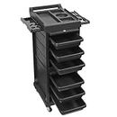 Lorvain Salon Beauty Rolling Trolley Cart, 6 Tier Hair Salon Storage Cabinet Barber Organizer Tool Multi Drawer Rolling Cart Free Standing Furniture with 4 Universal Wheels Hair Salon Supplies (Black)