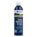 ConcenTrace Mineral Drops | ConcenTrace Electrolyte Drops | pH Balanced Liquid Minerals for Energy, Digestion & Rehydration | 237ml by Trace Minerals