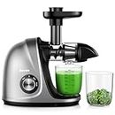 Jocuu Cold Press Juicer Machine with 2-Speed Modes - Slow Masticating Juicer for Vegetables and Fruits with Recipes, Brush & Reverse Function, Quiet Motor - Grey