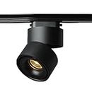 Harold Electricals 30 Watt Black Body 360° COB LED Track Light | Rotatable Indoor Focus Spotlight for Shop, Showroom, Living Room & Malls - Cool White Light (Track-Way Not Included) Pack of 1