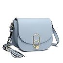 Miss Lulu Women Cross Body Bag Fashion Tassel Decoration Zipper Handbags Flap with Lock Closure Shoulder Bag (Blue)