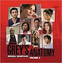 Grey's Anatomy , Volume 2