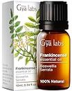 Gya Labs Frankincense Essential Oil for Diffusion & Self-Care - Frankincense Oil for Skin, Massages & DIY - Woody, Earthy Scent (10ml)