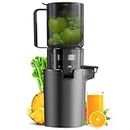 Masticating Juicer Machines, 4.1-inch (104MM) Slow Cold Press Juicer with Extra Wide Feed Chute, Pure Juicer Machine for Vegetables and Fruits, Easy to Clean with Brush