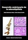 Desarrollo embrionario de la adenohipófisis (Spanish Edition)