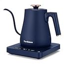 Northmas Electric Kettles, Electric Gooseneck Kettle with ±1℉ Temperature Control, 1L/1200W Quick Heating, 316 Stainless Steel Inner, for Pour-Over Coffee & Tea, Blue