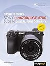 David Busch’s Sony Alpha a6700/ILCE-6700 Guide to Digital Photography (The David Busch Camera Guide Series)