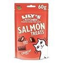 Lily's Kitchen Cat Snacks Salmon Treats for Cats (10 x 60g)