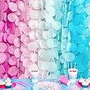 205 Ft Gender Reveal Party Decorations Ombre Pink and Blue Big Circle Dot Backdrop Garland Tissue Paper Polka Dot Hanging Curtain Streamer for He or She Boy or Girl Baby Shower Birthday Party Supplies