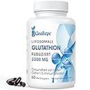 Liposomales Glutathion reduziert 2000mg pro Portion | Glutathion Ergänzung mit Hyaluronsäure + Kollagenpeptid + Resveratrol für leistungsstarke Antioxidantien | 10x bessere Absorption