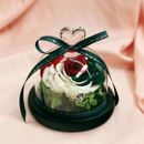 Beauty and the Beast Natural Preserved Flowers Eternal Rose Home Decoration