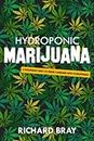 Hydroponic Marijuana: 3 Foolproof Ways to Grow Cannabis with Hydroponics