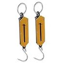 Kisangel 2pcs Spring Scale Hanging Scale Scales for Body Weight Fruit Hook Fruit Scale Electric Scale Balance Small Scale Hanging Spring Scales Kitchen Weight Scale Iron Fishing Handheld